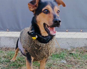 Así liberaron a Coco