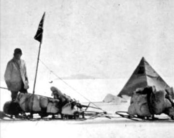 Encontraron el dibujo de un pájaro en la Antártida que tiene más de 100 años