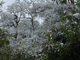 VIDEO: Así nevó en varias ciudades de la provincia de Salta