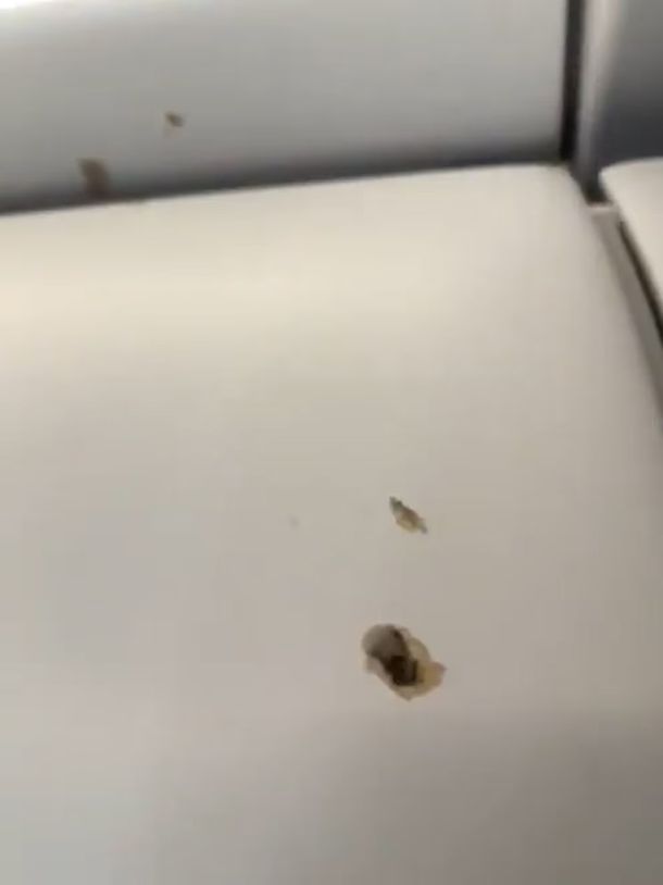 El avión de Spirit Airlines recibió varios impactos de bala El avión de Spirit Airlines recibió varios impactos de bala