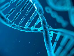 Los genes malos no siempre son malas noticias