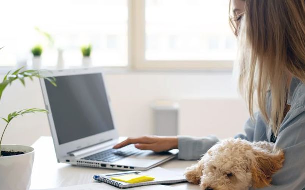 La reforma laboral termina con el teletrabajo. La reforma laboral termina con el teletrabajo.