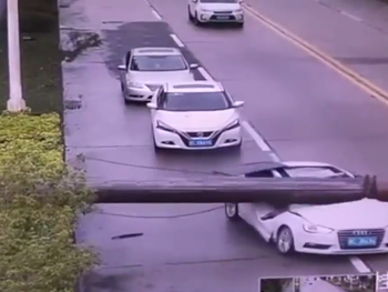 Una gigantesca grúa cayó sobre su auto y sobrevivió
