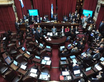 El Senado busca aprobar la Ley de Pago Soberano