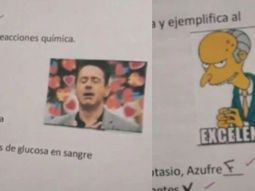 Quién es la docente que corrige con memes