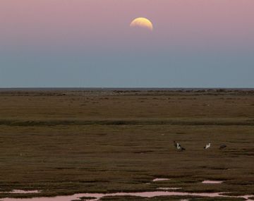 Así se vio el eclipse parcial de luna en Río Gallegos.