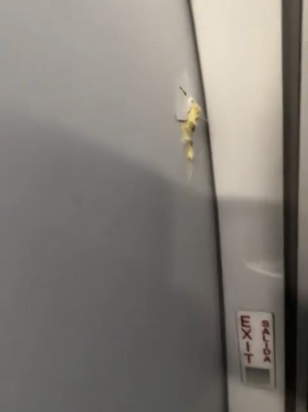 El vuelo tuvo que ser desviado a República Dominicana El vuelo tuvo que ser desviado a República Dominicana