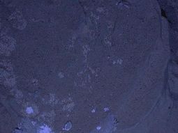 publican las primeras fotos nocturnas de curiosity en marte publican las primeras fotos nocturnas de curiosity en marte