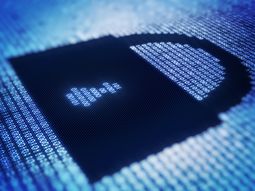 un legislador del pro presento un proyecto para bloquear sitios web un legislador del pro presento un proyecto para bloquear sitios web