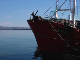 La industria pesquera denuncia la paralización del sector y reclama soluciones. La industria pesquera denuncia la paralización del sector y reclama soluciones.