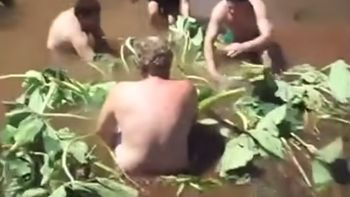 limpiaban una alcantarilla y los chupo limpiaban una alcantarilla y los chupo