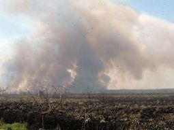 Fuego en Reserva Otamendi