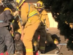 quedo atrapada cinco horas en una chimenea quedo atrapada cinco horas en una chimenea