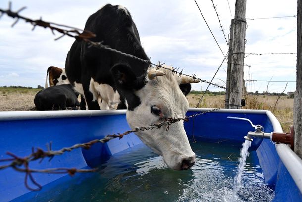 El gobierno extendió la emergencia agropecuaria hasta septiembre.