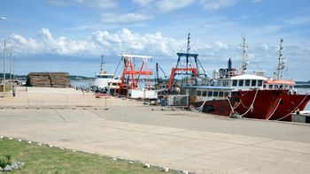 El proyecto busca atraer inversores al Puerto de la Paloma. El proyecto busca atraer inversores al Puerto de la Paloma.