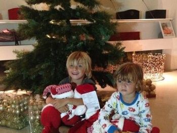 Así armaron el árbol de Navidad los famosos