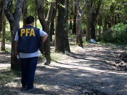 benedit:confirman hipotesis de la supuesta deuda benedit:confirman hipotesis de la supuesta deuda