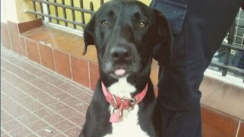 otra victima de la pueblada en monte hermoso otra victima de la pueblada en monte hermoso