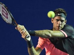 Del Potro vs. David Ferrer