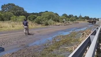caos y mal olor en pinamar: rotura de cano cloacal genera una desastre en ruta 11 caos y mal olor en pinamar: rotura de cano cloacal genera una desastre en ruta 11
