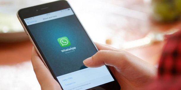 Por una falla de WhatsApp, se pueden manipular fotos y videos antes de que las vea el destinatario