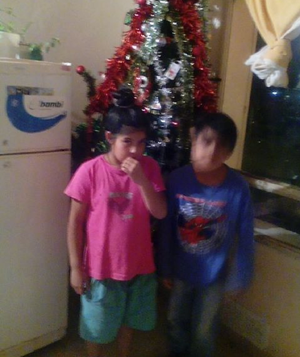 Un nene pidió un árbol de Navidad por Facebook.