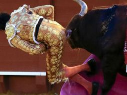 video: un torero sufrio una espeluznante corneada en una corrida video: un torero sufrio una espeluznante corneada en una corrida