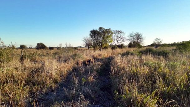 Gentileza Aire de Santa Fe