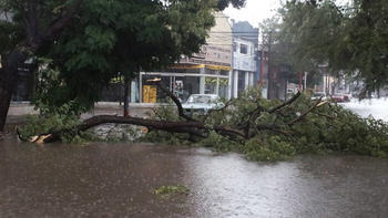 muere una nena de 6 anos durante un violento temporal muere una nena de 6 anos durante un violento temporal