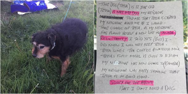 La abandonaron con un carta: No necesito un perro