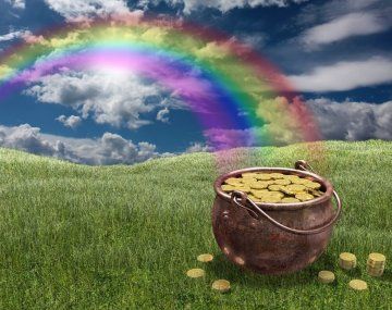 Se drogó con hongos