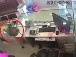 video: el ladron mas peligroso de la india es un mono video: el ladron mas peligroso de la india es un mono