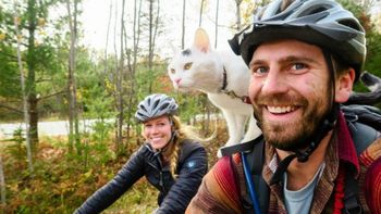 Vladimir es un gato viajero gracias a sus dueños Vladimir es un gato viajero gracias a sus dueños