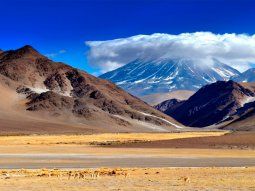 Semana Santa: en el Gobierno se preguntan por qué un ministro alienta la movilidad