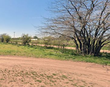 Esteban Echeverría: hallaron el cadáver de una mujer en un descampado