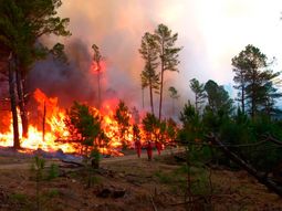 la temperatura llego a los 43° por los incendios en cordoba la temperatura llego a los 43° por los incendios en cordoba