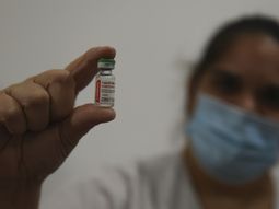 Provincia: la aplicación para anotarse a la vacunación ya está disponible