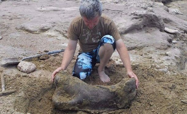 Hallaron fósiles de un perezozo gigante en Miramar