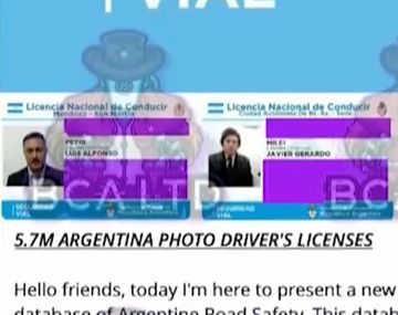Robaron la base de datos de todas las licencias de conducir del país: expusieron el carnet de Milei