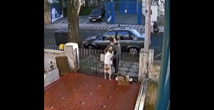 Miserable: un hombre robó el abrigo de un perro en Lanús
