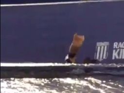 Locura extrema: un hincha festejó el gol de Racing revoleando su pierna