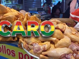 Estallido en Bolivia: el drástico aumento del pollo y su impacto en el poder adquisitivo, una de las causas Estallido en Bolivia: el drástico aumento del pollo y su impacto en el poder adquisitivo, una de las causas