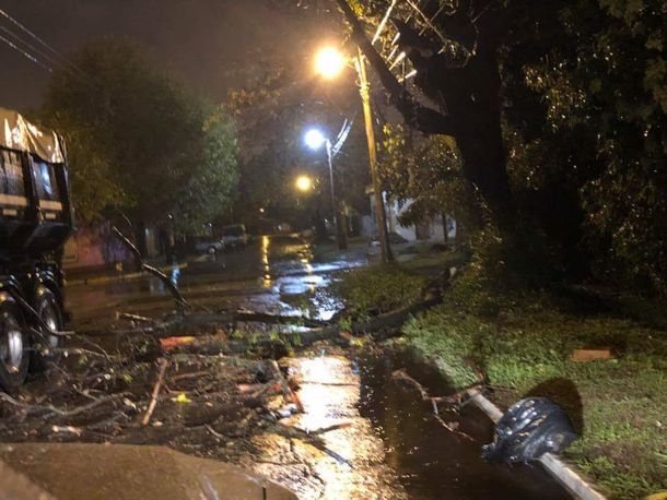 Decretaron la emergencia en Merlo por la tormenta