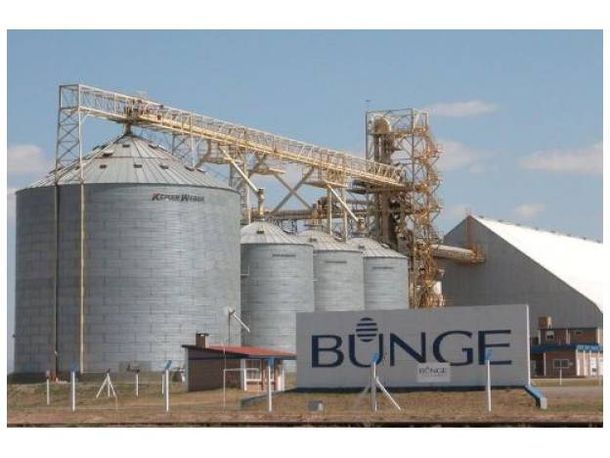Bunge quedó, otra vez, suspendida del registro de operadores de granos