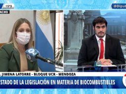 Diputados opinaron sobre el proyecto de Ley de Biocombustibles