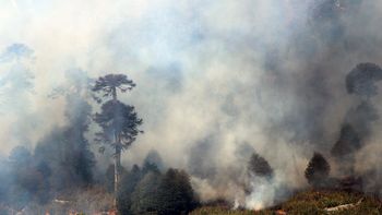 los incendios ya arrasaron mas de 11 mil hectareas en chile los incendios ya arrasaron mas de 11 mil hectareas en chile