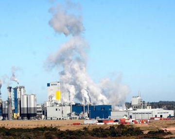 La Justicia apuró un informe sobre la contaminación de Botnia