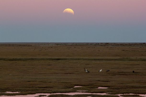 Así se vio el eclipse parcial de luna en Río Gallegos.