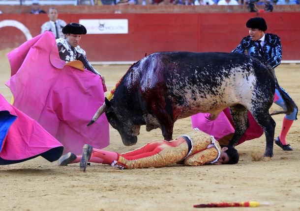 Karma: muere un torero corneado durante una corrida en España