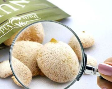 ¿Qué es la nuez de la India?